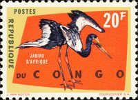 Saddle-billed Stork (Ephippiorhynchus senegalensis)