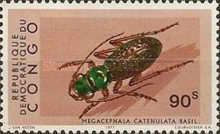 Tiger Beetle (Megacephala catenulate)