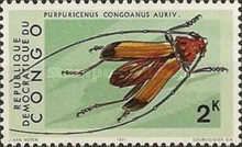 Purpuricenus Longhorn Beetle (Purpuricenus congoanus)