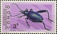 Jewelled Frog Beetle (Sagra tristes)