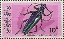 Mecosaspis Longhorn Beetle (Mecosaspis explanta)