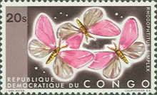 Butterfly (Rhodophtitus simplex)