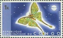 African Lunar Moth (Argema bouvieri)