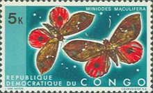 Moth (Miniodes maculifera)
