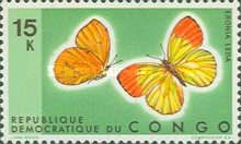 Autumn Leaf Vagrant (Eronia leda)