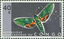 Verdant Hawk-moth (Euchloron megaera)