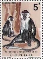 Red-capped Mangabey (Cercocebus torquatus)