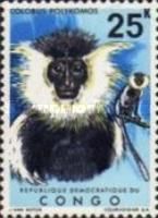 King Colobus (Colobus polykomos)