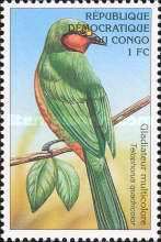 Gorgeous Bushshrike (Telophorus quadricolor)