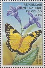 Colotis protomedia