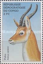 Puku (Kobus vardoni)