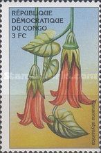 Canarina abyssinica