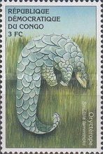 Ground Pangolin (Manis temminckii)