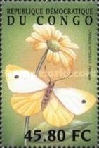 Pieris rapae