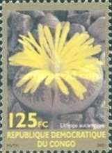 Lithops aucampiae