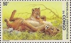 Young lions