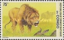 Lion (Panthera leo)