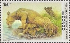 Lioness and young lions