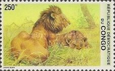 Lion and lioness