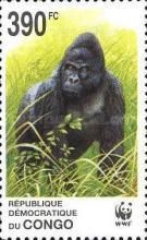 Eastern Lowland Gorilla (Gorilla gorilla graueri)