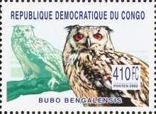 Rock Eagle-owl (Bubo bengalensis)