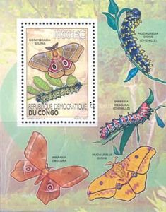 Gonimbrasia belina