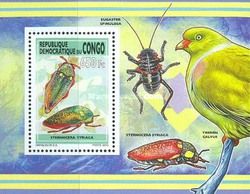 Sternocera syriaca