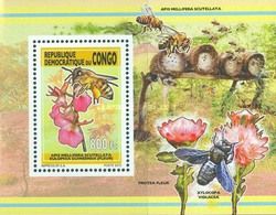 Apis mellifera ligustica & Gloriosa superba