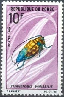 Lesser Jewel Longhorn Beetle (Sternotomis variabilis)