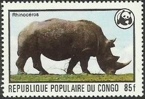 Black Rhinoceros (Diceros bicornis)