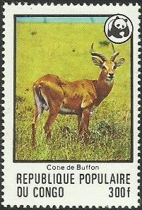 Buffon's Kob (Kobus kob kob)