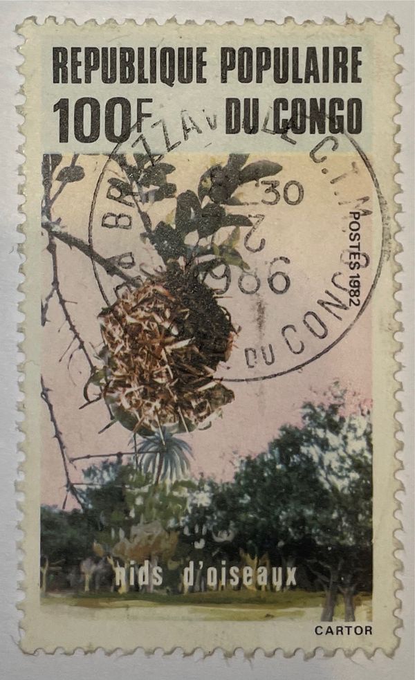 Belier Birds' Nests - sunbird