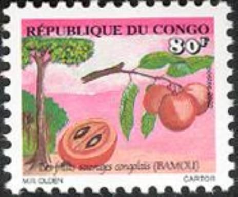 Bamou
