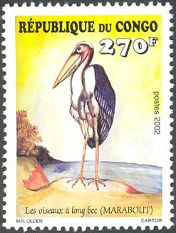 Marabou Stork (Leptoptilos crumeniferus) 