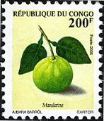 Citrus reticulata