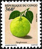 Citrus maxima