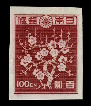 Plum Blossoms