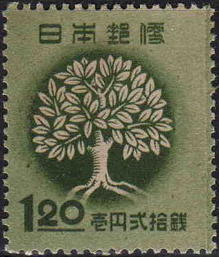 Reforestation