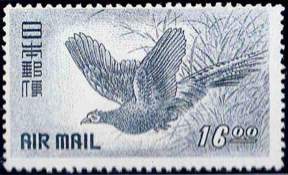 Green Pheasant (Phasianus colchicus versicolor)
