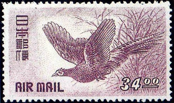 Green Pheasant (Phasianus colchicus versicolor)