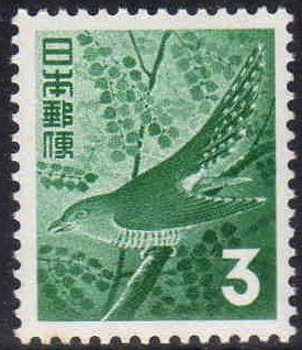 Lesser Cuckoo (Cuculus Poliocephalus)