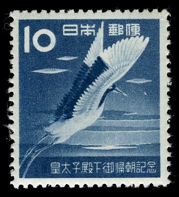 Red-crowned Crane (Grus japonensis)