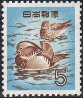 Mandarin Ducks (Aix Galericulata)