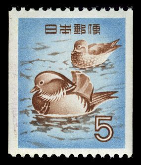 Mandarin Ducks (Aix Galericulata)
