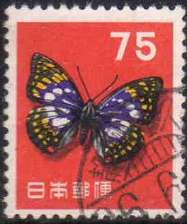 Japanese Emperor (Sasakia charonda)