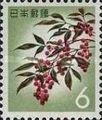 Sacred Bamboo (Nandina domestica)