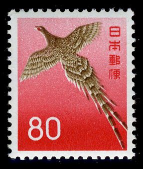 Copper Pheasant (Syrmaticus soemmerringii)