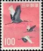 Red-crowned Cranes (Grus japonensis)