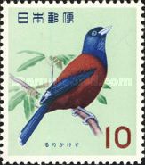 Lidth's Jay (Garrulus lidthi)