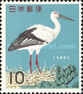 Oriental White Stork (Ciconia boyciana)